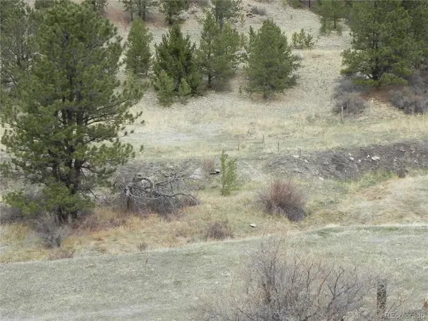 521 Monarch DR, Cripple Creek, CO 80813