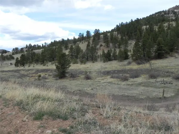 521 Monarch DR, Cripple Creek, CO 80813
