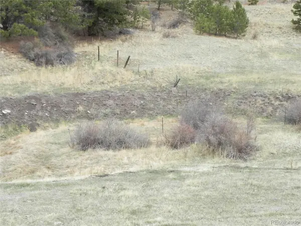 521 Monarch DR, Cripple Creek, CO 80813