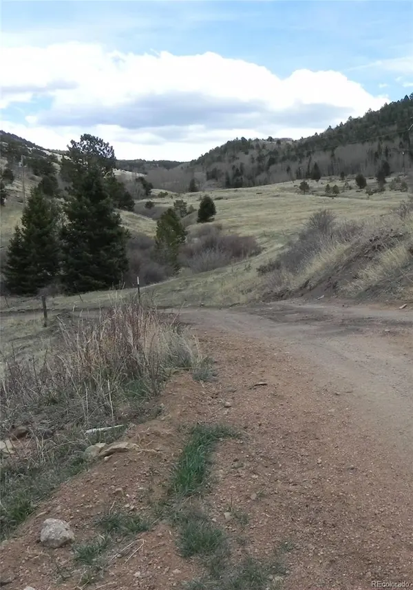 521 Monarch DR, Cripple Creek, CO 80813