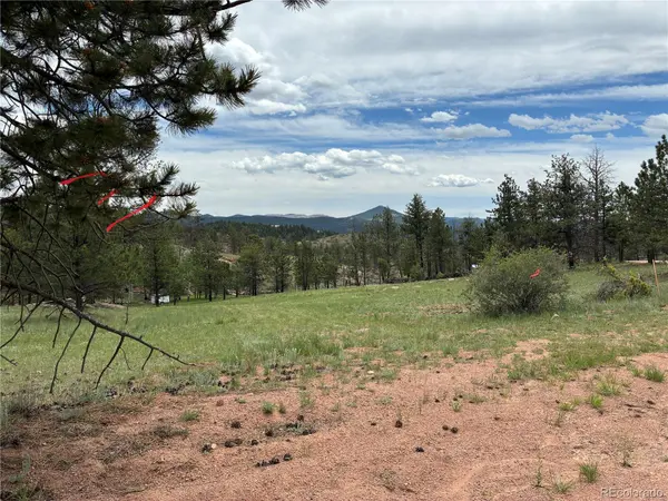 266 Chapparal TRL, Florissant, CO 80816