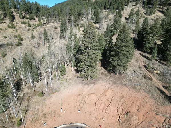 15 Blue Haven PL, Woodland Park, CO 80863