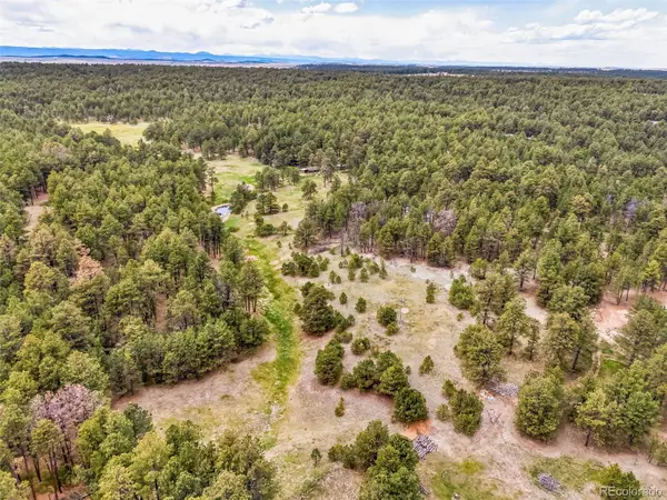 10655 Hardy RD, Colorado Springs, CO 80908