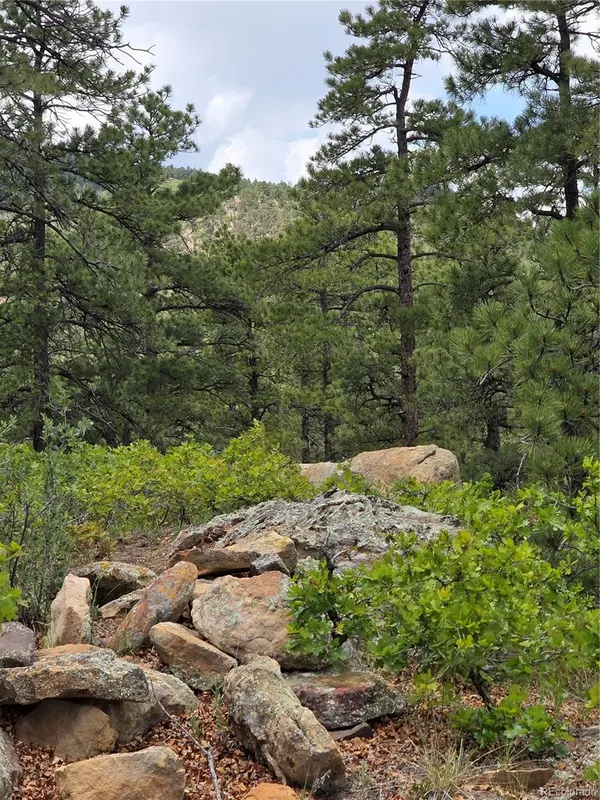 0 County Road 15, Florence, CO 81226