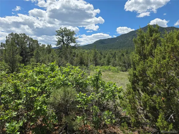 0 County Road 15, Florence, CO 81226