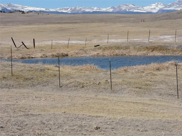 2716 Badger RD, Hartsel, CO 80449