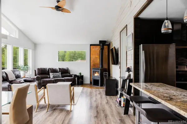 133 Gold Run RD, Alma, CO 80440