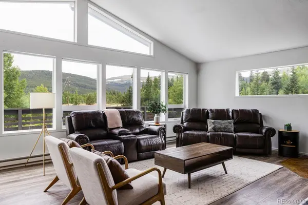 133 Gold Run RD, Alma, CO 80440
