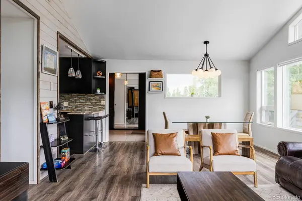 133 Gold Run RD, Alma, CO 80440