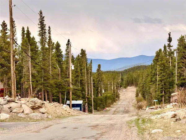 000 Silver Creek RD, Idaho Springs, CO 80452
