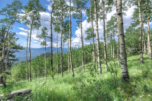 0 Robinson Hill RD, Golden, CO 80403