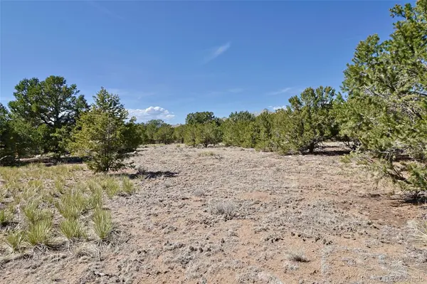 3921 Cordial WAY, Crestone, CO 81131