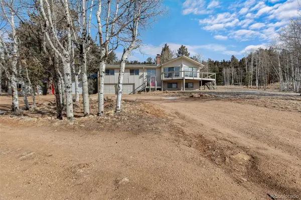 1874 Vagabond Creek DR, Lake George, CO 80827