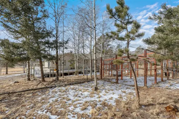 1874 Vagabond Creek DR, Lake George, CO 80827