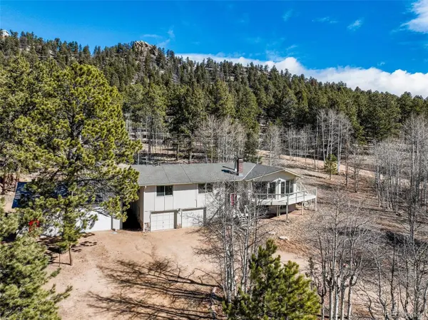 1874 Vagabond Creek DR, Lake George, CO 80827