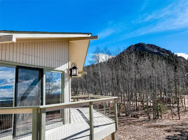 1874 Vagabond Creek DR, Lake George, CO 80827