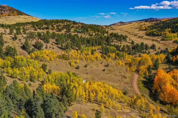 230 Penrose CIR, Cripple Creek, CO 80813
