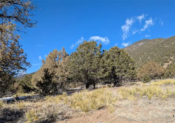 4229 Radiant, Crestone, CO 81131