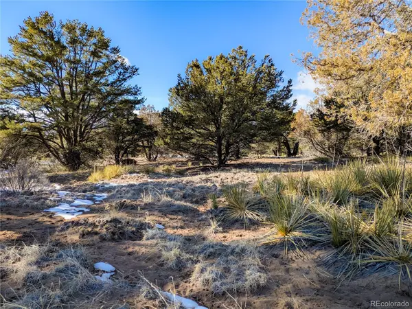 4229 Radiant, Crestone, CO 81131