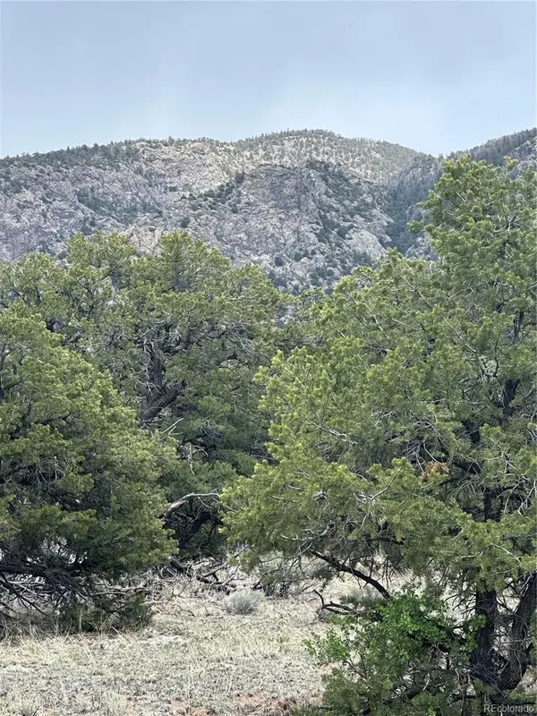 10 Mountain Springs LN, Mosca, CO 81146