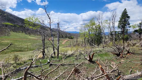 2334 Wohlstetter LOOP, Fort Garland, CO 81133