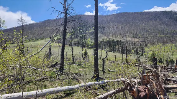 2334 Wohlstetter LOOP, Fort Garland, CO 81133