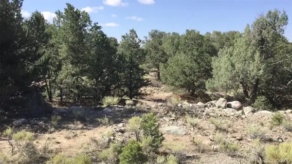 3514 Forest Trail Overlook, Crestone, CO 81131