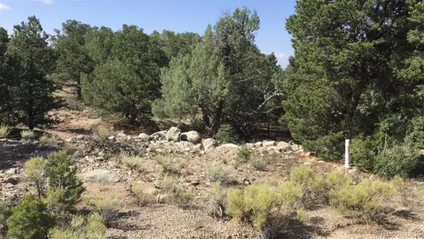 3514 Forest Trail Overlook, Crestone, CO 81131