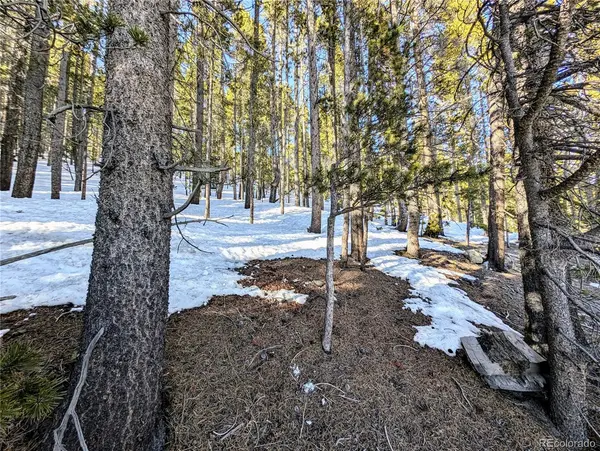 Lot 677 Alice RD, Idaho Springs, CO 80453