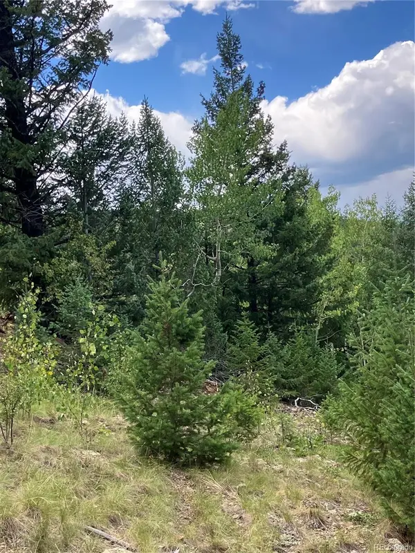 7 Miners RD, Black Hawk, CO 80422