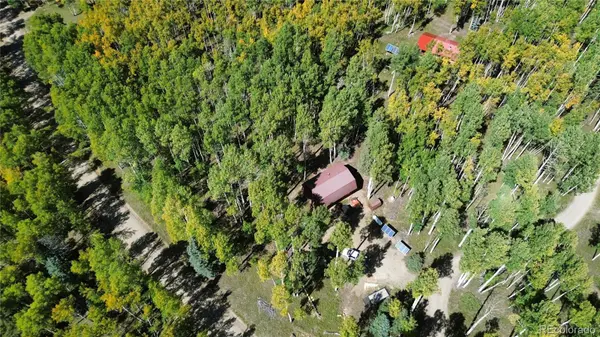 613 Alamosa AVE, Jasper, CO 81140