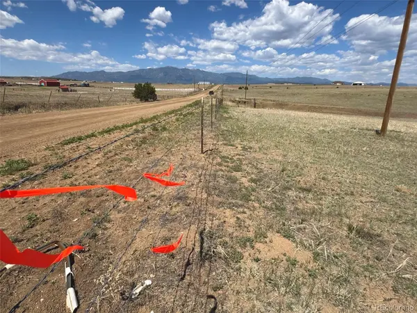 TBD Lot 13A Pickney RD, Rye, CO 81069