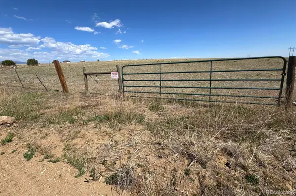 TBD Lot 13A Pickney RD, Rye, CO 81069