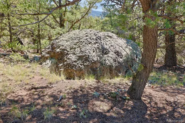 453 Arrowhead WAY, Crestone, CO 81131