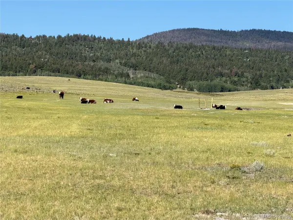 3 Ranch, Hartsel, CO 80449