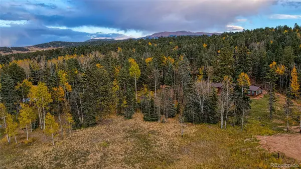 166 Denwood DR, Florissant, CO 80816
