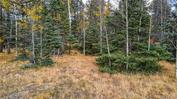 166 Denwood DR, Florissant, CO 80816