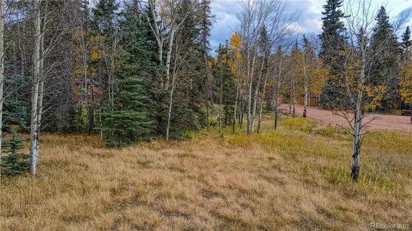 166 Denwood DR, Florissant, CO 80816
