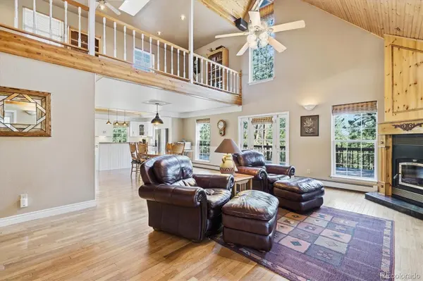 410 Spring DR, Pine, CO 80470