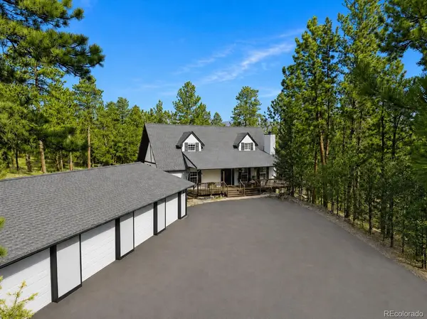410 Spring DR, Pine, CO 80470,Video Tour