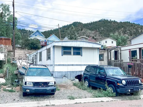 704 Miner ST, Idaho Springs, CO 80452