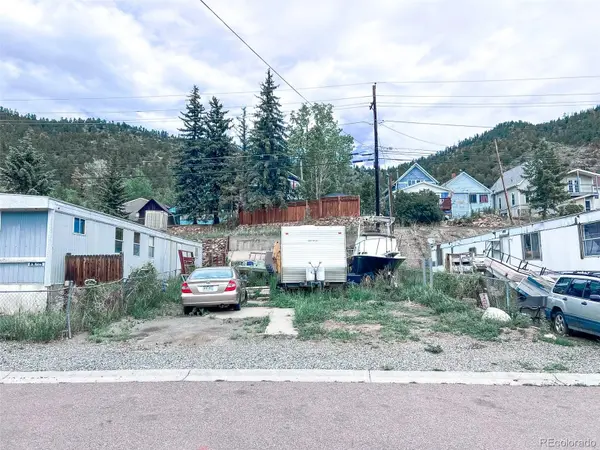 704 Miner ST, Idaho Springs, CO 80452