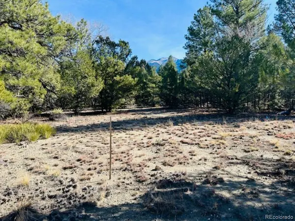 15 Lake Of The Falls, Mosca, CO 81146