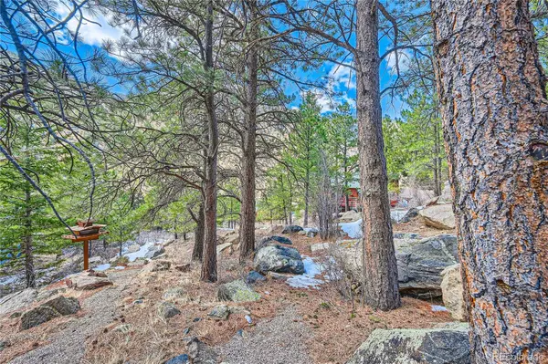 Skyline RD, Georgetown, CO 80444