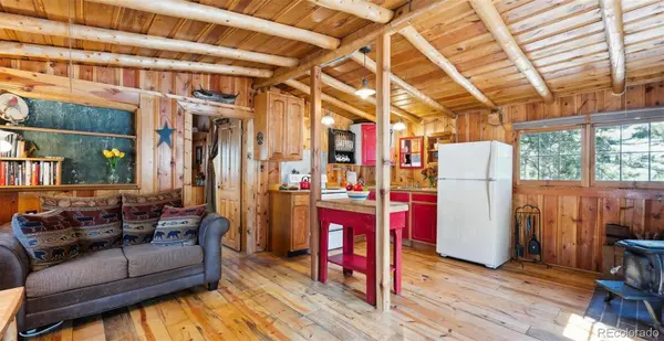 33885 La Plata LN, Pine, CO 80470