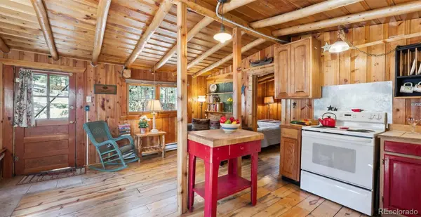 33885 La Plata LN, Pine, CO 80470