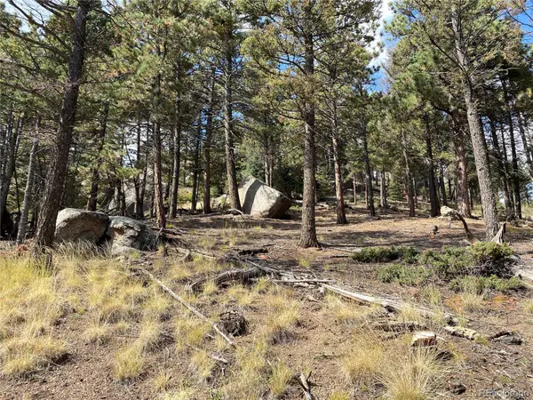 342 Ponderosa VW, Manitou Springs, CO 80829