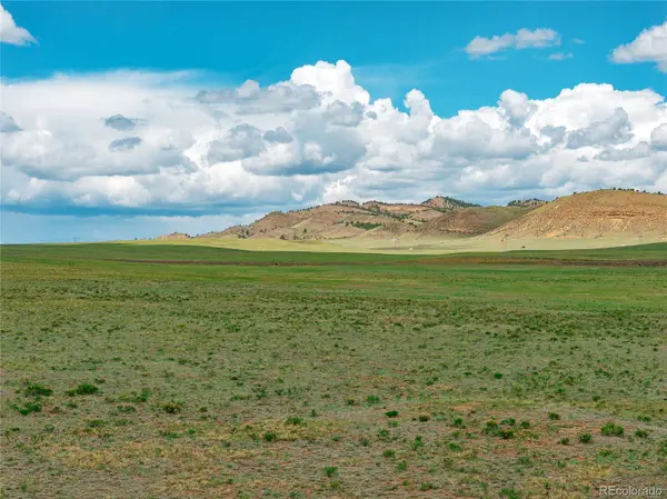 145 County Road 15, Hartsel, CO 80449