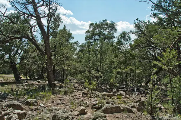 532 N Hillcrest Ol, Crestone, CO 81131