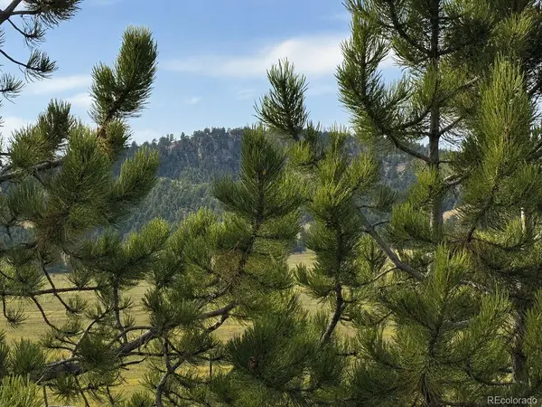 115 Black Canyon CT, Hartsel, CO 80449